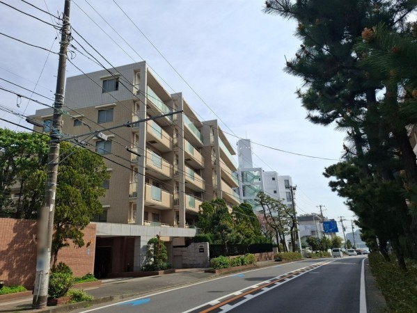 藤沢市片瀬海岸、マンションの前面道路を含む現地写真画像です