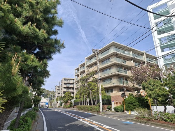 藤沢市片瀬海岸、マンションの前面道路を含む現地写真画像です