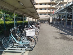 藤沢市片瀬海岸、マンションのその他画像です