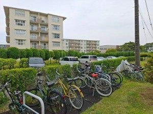 藤沢市辻堂西海岸、マンションのその他画像です