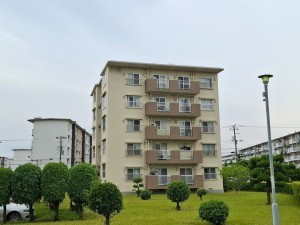 藤沢市辻堂西海岸、マンションの外観画像です