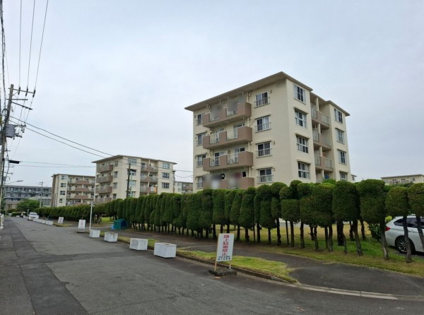 藤沢市辻堂西海岸、マンションの前面道路を含む現地写真画像です