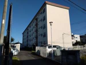 藤沢市大鋸、マンションの外観画像です