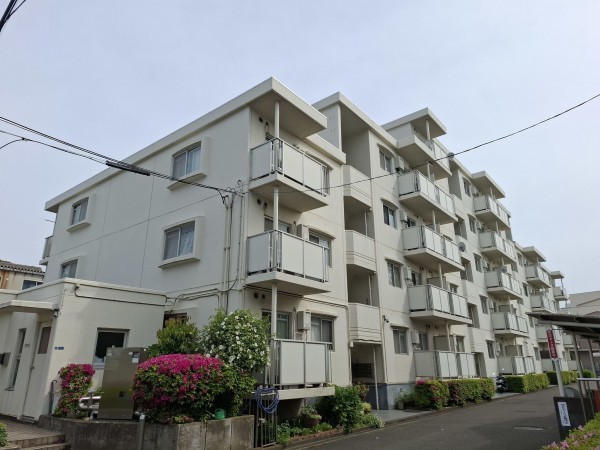 藤沢市鵠沼神明、マンションの外観画像です