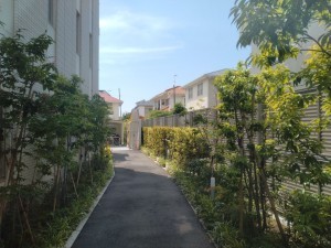 藤沢市鵠沼海岸、マンションのその他画像です