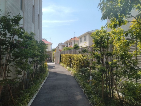 藤沢市鵠沼海岸、マンションのその他画像です
