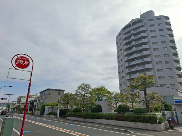 藤沢市片瀬海岸、マンションの前面道路を含む現地写真画像です