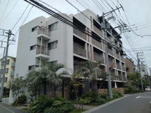 藤沢市片瀬海岸、マンションの外観画像です