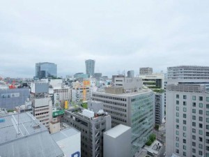 渋谷区渋谷、マンションのその他画像です