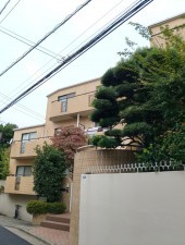 渋谷区神山町、マンションの外観画像です