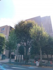 目黒区大橋、マンションの外観画像です