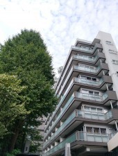 目黒区青葉台、収益物件/店舗付住宅の外観画像です