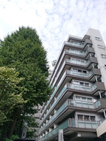 目黒区青葉台、収益物件/店舗付住宅の外観画像です