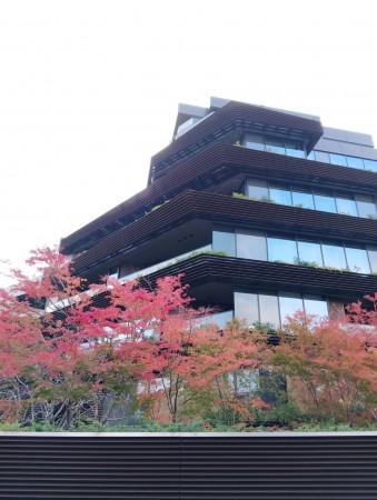 渋谷区神宮前、マンションの外観画像です