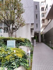 渋谷区東、マンションの外観画像です