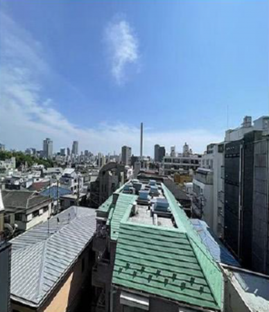 渋谷区東、マンションのその他画像です