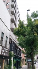渋谷区神泉町、マンションの外観画像です