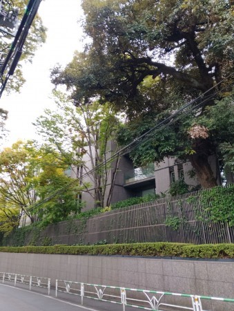 渋谷区南平台町、マンションの外観画像です