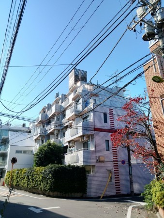 世田谷区、マンションの外観画像です