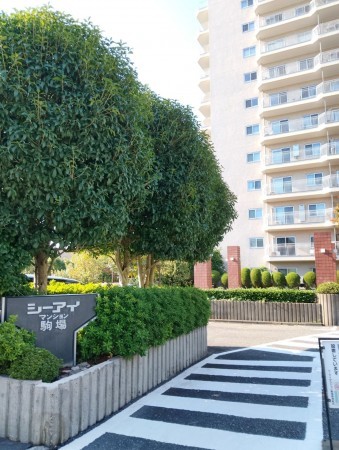 世田谷区、マンションの画像です