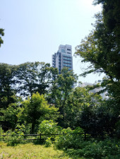 渋谷区松濤、マンションの外観画像です