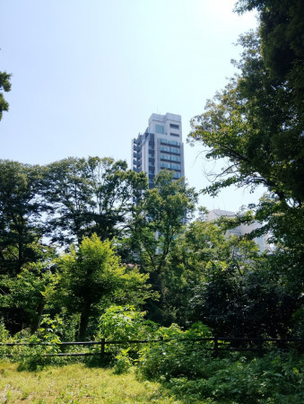 渋谷区松濤、マンションの外観画像です