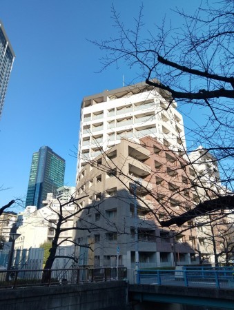 目黒区大橋、マンションの外観画像です