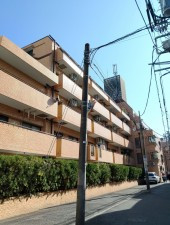 渋谷区幡ヶ谷、マンションの外観画像です