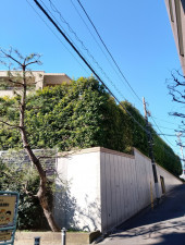 渋谷区初台、マンションの外観画像です