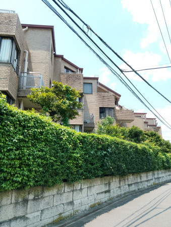 目黒区中目黒、マンションの外観画像です