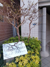 渋谷区上原、マンションのエントランス画像です