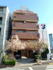 目黒区青葉台、マンションの外観画像です