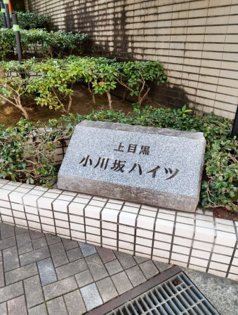 目黒区上目黒、マンションのその他画像です