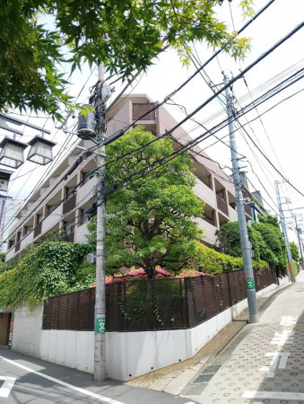 渋谷区代々木、マンションの画像です