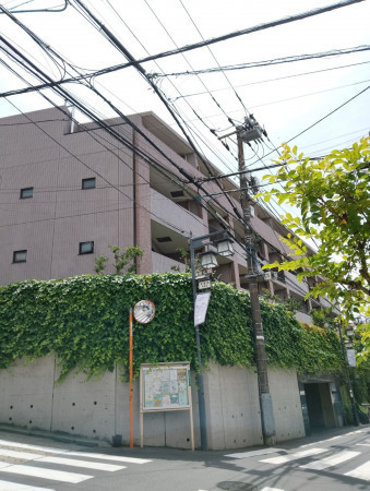 渋谷区代々木、マンションの外観画像です