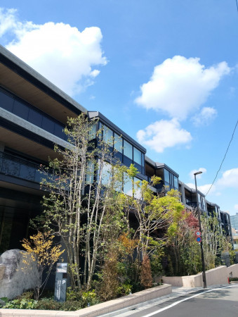 渋谷区大山町、マンションの外観画像です