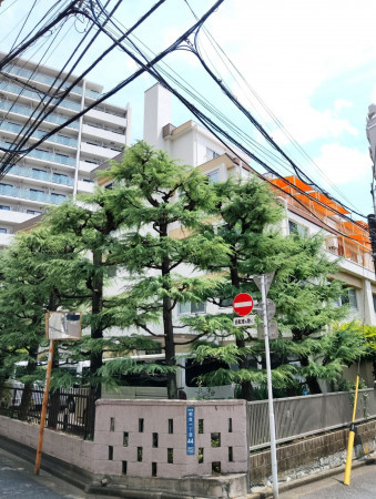 渋谷区初台、マンションの画像です
