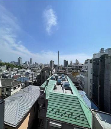 渋谷区東、マンションのその他画像です