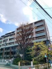 渋谷区西原、マンションの外観画像です