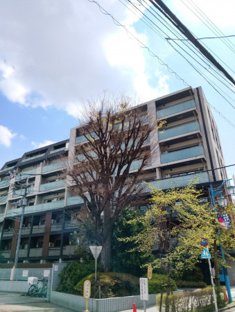 渋谷区西原、マンションの外観画像です