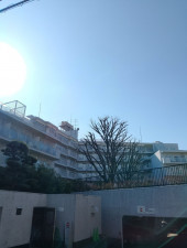 渋谷区幡ヶ谷、マンションの外観画像です
