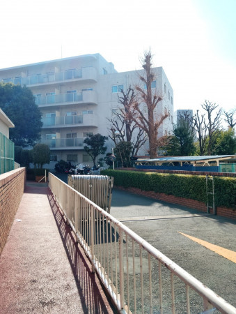 渋谷区幡ヶ谷、マンションのエントランス画像です