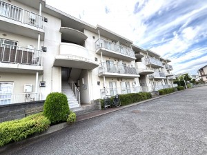 相模原市南区西大沼、マンションの画像です