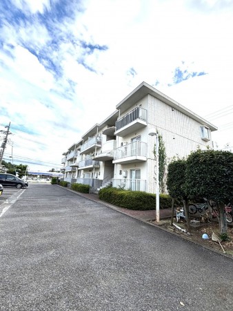 相模原市南区西大沼、マンションの画像です