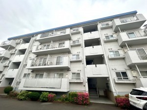 相模原市南区上鶴間本町、マンションの画像です