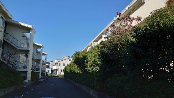 相模原市南区西大沼、マンションの画像です