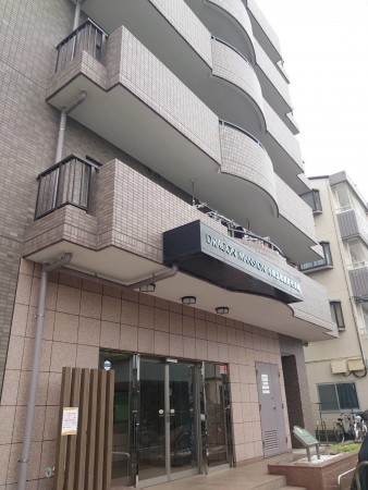相模原市南区麻溝台、マンションの画像です