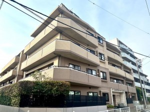 相模原市南区上鶴間本町、マンションの画像です