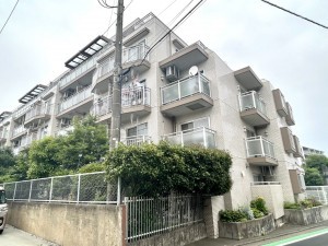 相模原市南区上鶴間本町、マンションの外観画像です