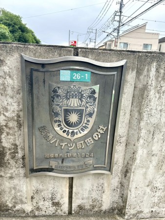相模原市南区上鶴間本町、マンションの画像です